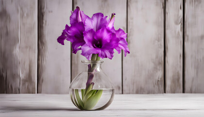 purple gladiolus in round glass vase on old rustic white wooden background. 
