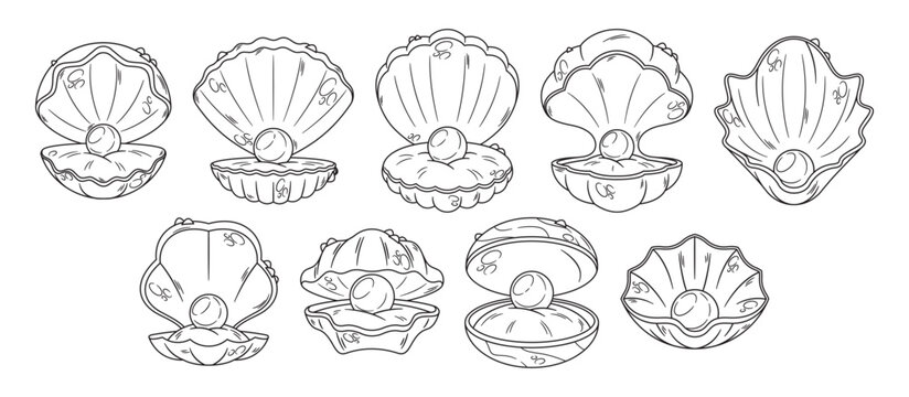 Open Shell With Pearl Outline Vector Icons Set, Features Elegant And Minimalist Symbols, Capturing The Essence Of Shells
