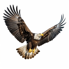 A single American Eagle is flying isolated on a white background in the top view