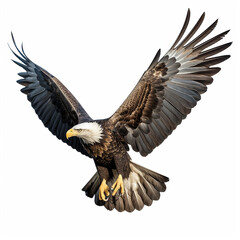 A single American Eagle is flying isolated on a white background in the top view
