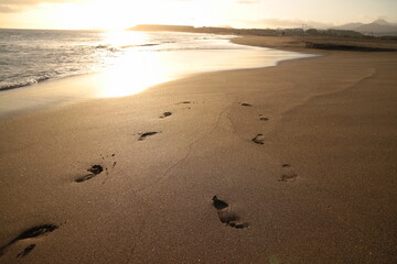 footprints on the beach