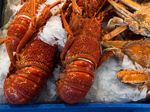 Cooked crayfish and sand crabs displayed on ice