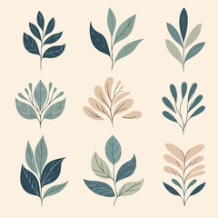 Fototapeta na wymiar vector logo collection of leaves with elegant shapes and calm colors. flat cartoon design that is simple and minimalist