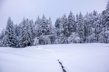 Fototapeta na wymiar Langlaufrunde bei bestem Kaiserwetter im verschneiten Thüringer Wald bei Floh-Seligenthal - Thüringen - Deutschland
