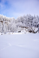 Langlaufrunde bei bestem Kaiserwetter im verschneiten Th&uuml;ringer Wald bei Floh-Seligenthal - Th&uuml;ringen - Deutschland