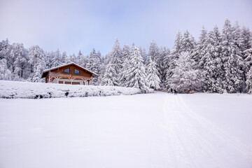 Langlaufrunde bei bestem Kaiserwetter im verschneiten Thüringer Wald bei Floh-Seligenthal - Thüringen - Deutschland