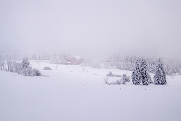 Fototapeta premium Langlaufrunde bei bestem Kaiserwetter im verschneiten Thüringer Wald bei Floh-Seligenthal - Thüringen - Deutschland