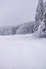 Langlaufrunde bei bestem Kaiserwetter im verschneiten Thüringer Wald bei Floh-Seligenthal - Thüringen - Deutschland