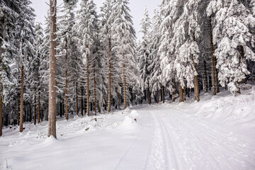 Langlaufrunde bei bestem Kaiserwetter im verschneiten Thüringer Wald bei Floh-Seligenthal -...