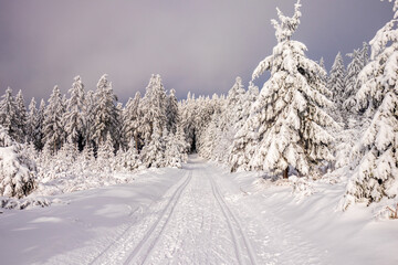 Langlaufrunde bei bestem Kaiserwetter im verschneiten Thüringer Wald bei Floh-Seligenthal - Thüringen - Deutschland