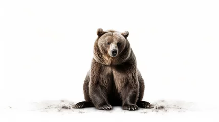 Fototapeten bear on white background © Ritthichai