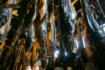 Traditional salted salmons hanging in the city of Murakami in Niigata Prefecture.