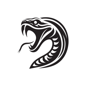 Serpentine Dreams: A Mesmerizing Exploration of Snake Face Silhouettes in the Realm of Nocturnal Wonders - Snake Face Illustration - Snake Face Vector - Reptile Silhouette
