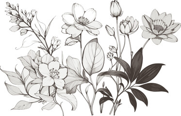 Floral branch and minimalist flowers, floral vector, hand drawn floral vector. Minimal line art drawing for print, cover, or wallpaper.