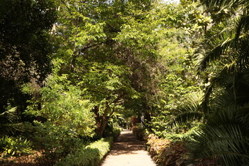 path in the garden