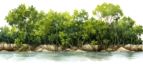 Foto op Canvas nature concept mangroves, nature, green habitat, large roots, wild jungle co2 © ClicksdeMexico