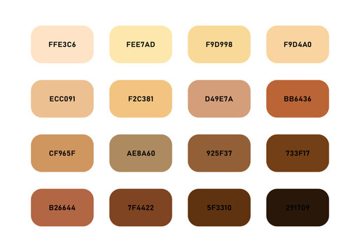 Skin tone set with color code in rounded rectangle. Skin types rounded square tones with names.