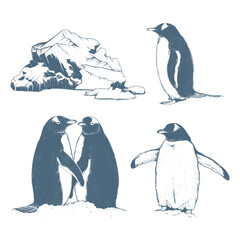 Collection north, penguins and iceberg.