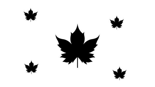 Zoom in and out animation the maple leaf symbol. Large black symbol in the center and four small symbols around. Seamless looped 4k animation on white background