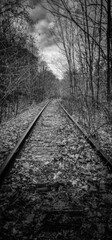 Fototapeta premium Degraded and derailed