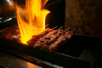 Grilled yakitori chicken skewers at an Izakaya restaurant in Omoide Yokocho street in the Shinjuku...