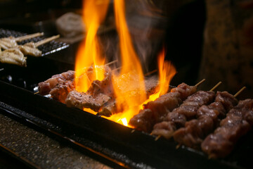 Grilled yakitori chicken skewers at an Izakaya restaurant in Omoide Yokocho street in the Shinjuku district of Tokyo.