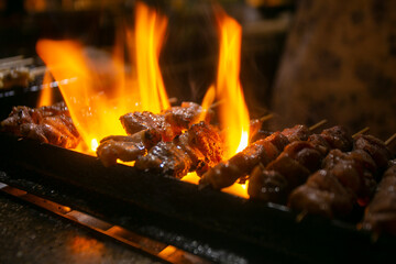 Grilled yakitori chicken skewers at an Izakaya restaurant in Omoide Yokocho street in the Shinjuku district of Tokyo.