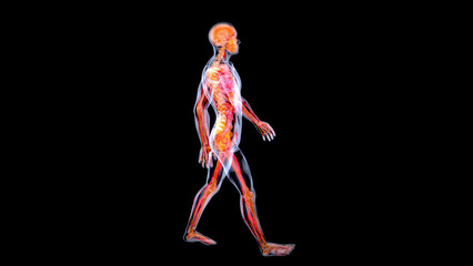 Abstract illustration of a heart attack