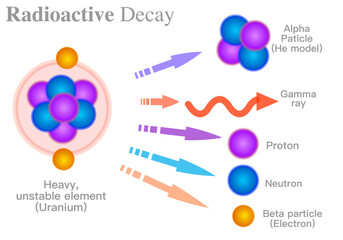 Radioactive decay. Alpha, α, beta, γ particle, gamma ray. Uranium, heavy unstable element. Atom structure electron, neutron, proton, radiation. Nuclear reactions isotopes atom model. Chemistry vector - obrazy, fototapety, plakaty