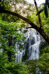 A gorgeous waterfall captured in long exposure, Thailand.