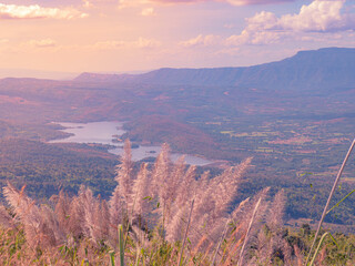 The stunning view in Forest Park from a tourist's standpoint with background of golden sky, swamps and mountains, Rainforest, Thailand. Bird's eye view. Aerial view. 