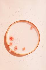 Round podium with water and flowers on pink background with drops. Empty round plate with water drops and roses, copy space. Spring cosmetic concept
