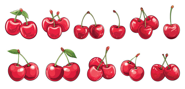 Cherries fresh. Isolated cherry cartoon sketch style. Tasty ripe berries, seasonal harvest. Natural vitamins, raw for pie, jam, marmalade, vector collection