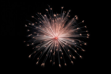 A vibrant explosion of colors illuminating the dark night sky, showcasing a dazzling fireworks display