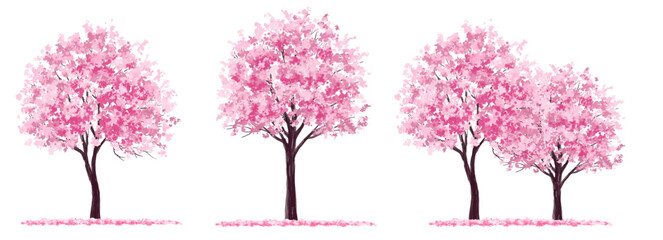 Vertor set of spring blossom tree,bloomimg plants side view for landscape elevation and section,eco environment concept design,watercolor sakura illustration,colorful season