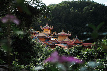 Fototapety na wymiar - Fototapeta24.pl