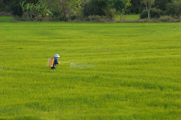 Man irrigating fields, agriculture concept