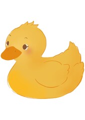 Duck for children learning vocabulary.