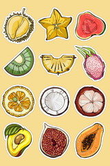 Set of tropical fruits stickers in cartoon colorful style.  Ready to print