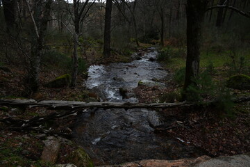 Arroyo del Sestil  del Maillo , Canencia 