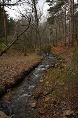 Arroyo del Sestil  del Maillo , Canencia 