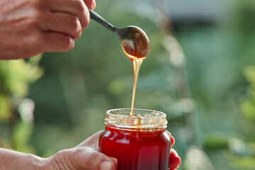 flowing honey dripping from the spoon into the preserving jar pot in the hand with green natural...