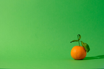 Clementine fruit with leafs against green colored background