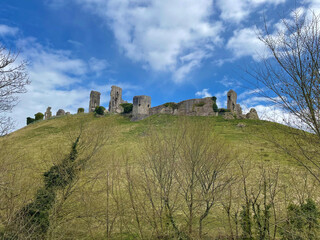 Fototapeta na wymiar View of Corfe castle surrounded by woodland on bright blue sky day with light cumulus clouds, on the Isle of Purbeck peninusula, Dorset, England.