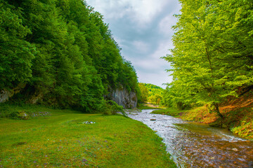 landscape with a river passing through a gorge with green trees.