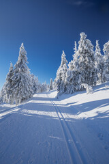 Winter landscapes in the Czech Jeseniky Mountains. Snow and ice created fairy-tale views. The...