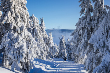 Winter landscapes in the Czech Jeseniky Mountains. Snow and ice created fairy-tale views. The...