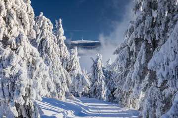 Winter landscapes in the Czech Jeseniky Mountains. Snow and ice created fairy-tale views. The mountains look beautiful this time of year.