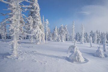 Winter landscapes in the Czech Jeseniky Mountains. Snow and ice created fairy-tale views. The...