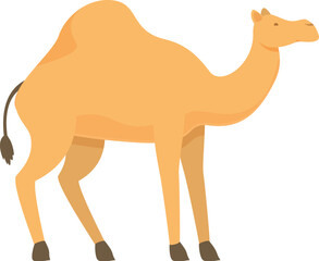Qatar camel animal icon cartoon vector. Nation tourism. Visitor eastern